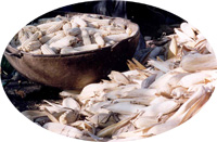 A wooden bowl heaped with pale husked maize cobs