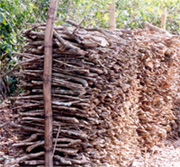 Firewood stacked in a neat cord between upright posts